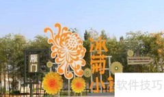 韵游菊：探秘菊花之美