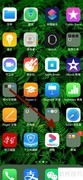 师爷请自重观看指南