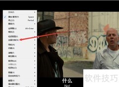如何缩小Silver播放器尺寸