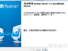 Radmin下载安装指南