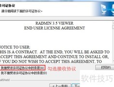Radmin下载安装指南