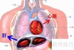 三通复髓疗法：再生新突破