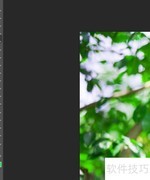 Photoshop新手快速上手指南