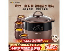 小熊4L电炖锅253元
