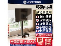 小米REDMI 43英寸移动平板电视