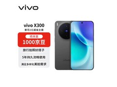 vivo X300 16GB+1TB纯粹黑版京东特惠