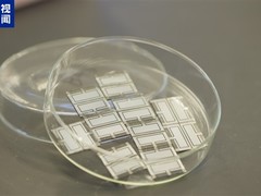 中国科学家创钙钛矿-有机叠层电池28.04%效率新纪录