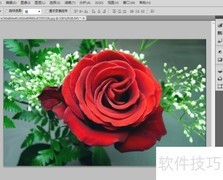 Photoshop移动选区技巧