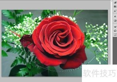Photoshop移动选区技巧