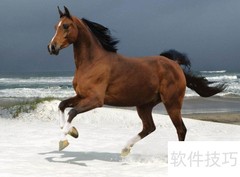 Photoshop基础入门知识点