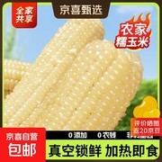 有机甜糯白玉米4棒组合，原价高现仅8.5元！