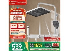 箭牌四功能花洒套装五折抢