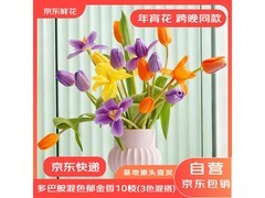 京东鲜花郁金香10枝21.9元