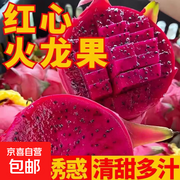 京喜国产金都一号火龙果尝鲜装，1粒仅4.99元