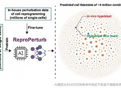 西湖大学与阿里达摩院联合发布归元AI模型，精准预测干细胞重编程路径