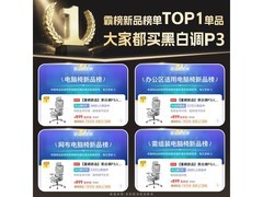 黑白调P3耀黑人体工学椅