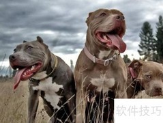 家中防盗小妙招