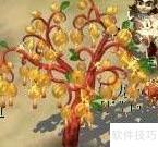 梦幻西游摇钱树苗快速养成