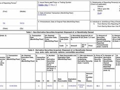 东北小伙非洲砺炼，逆袭特斯拉全球高管