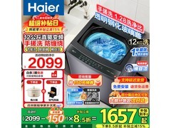 海尔12kg变频波轮洗衣机