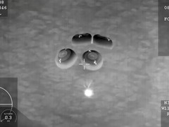 SpaceX龙飞船紧急返航 四名宇航员因健康问题提前撤离空间站