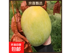 四川攀枝花2斤带箱小果凯特芒，现摘直发，到手仅4.79元