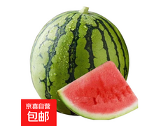 郭庙头茬无籽麒麟西瓜4 - 6斤，仅11.89元！