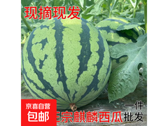 郭庙新鲜头茬无籽麒麟瓜，原价14.8元券后10.8元