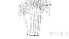 翠竹简笔画：家中清新之景
