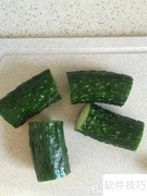 翠竹迎春