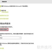 预览版转正式版教程