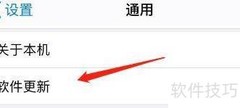 iPhone软件更新设置指南