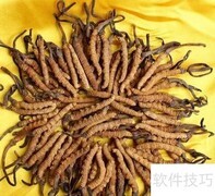 男人养生必备中草药指南