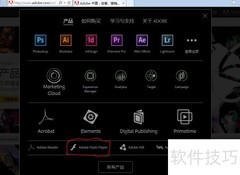 IE浏览器更新Flash插件方法