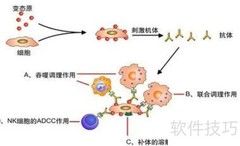 AG在医学检验中的含义解析