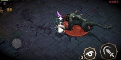 暗魔领主：战争硬币搭配攻略