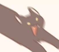 遇见你的猫养猫攻略