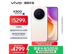 vivo X300 5G手机限时抢购
