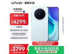 vivo X300 5G蓝12+256限时3599