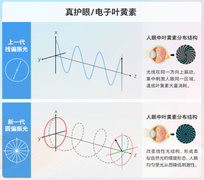 舒视蓝4.0圆偏光护眼黑科技加持 飞利浦27B2N3500G显示器重磅上新