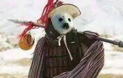 重返帝国：新人避坑指南