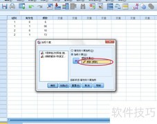 SPSS中卡方检验操作指南