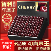 智利车厘子尝鲜装，100g仅7.9元，京东包邮速来！