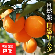 秭归脐橙2斤仅7.99元，满5减4两次，券后3.99元！