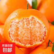 云南新鲜青橘带箱2斤，领券立减，仅4.29元！