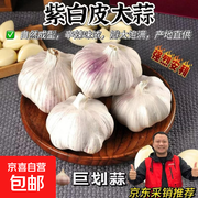 原价7元紫白皮蒜，用券后2元，200g共10头速抢