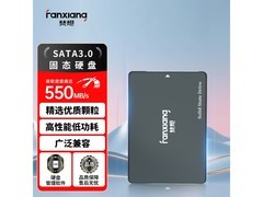 梵想FP325Q 512GB固态硬盘429元