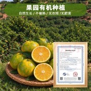 京东生鲜包圆2000亩爱媛果冻橙，产地直发、最快24小时尝鲜