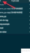 RegExLab正则表达式导出方法