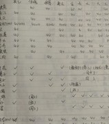 无极仙途：主五选择与流派发展